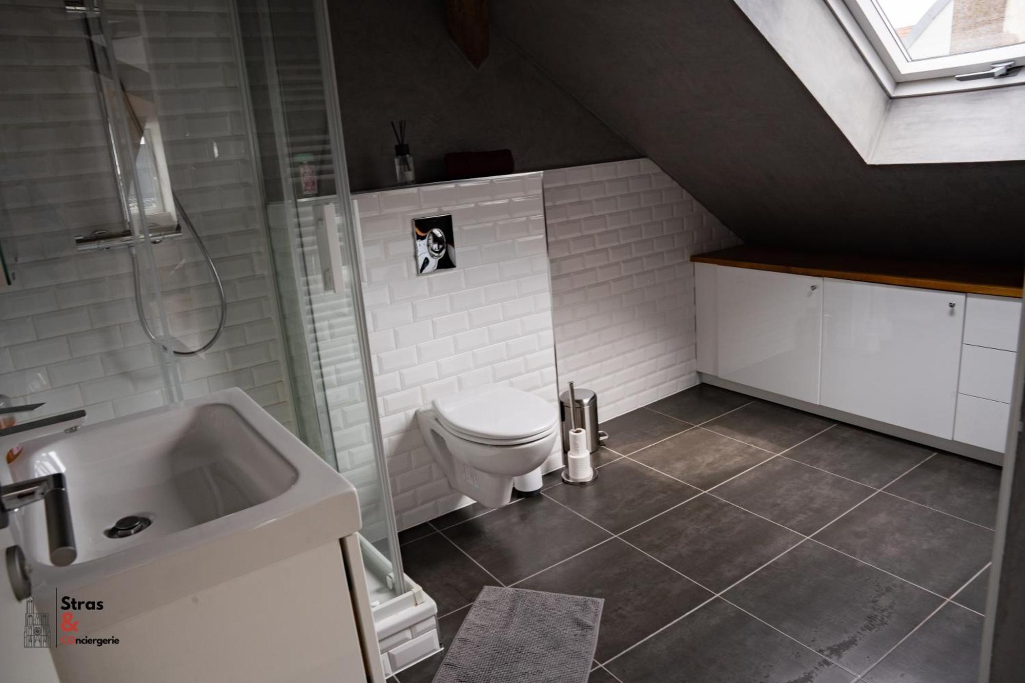 Belles Combles Alsaciennes Au Centre De Strasbourg Apartment Екстериор снимка