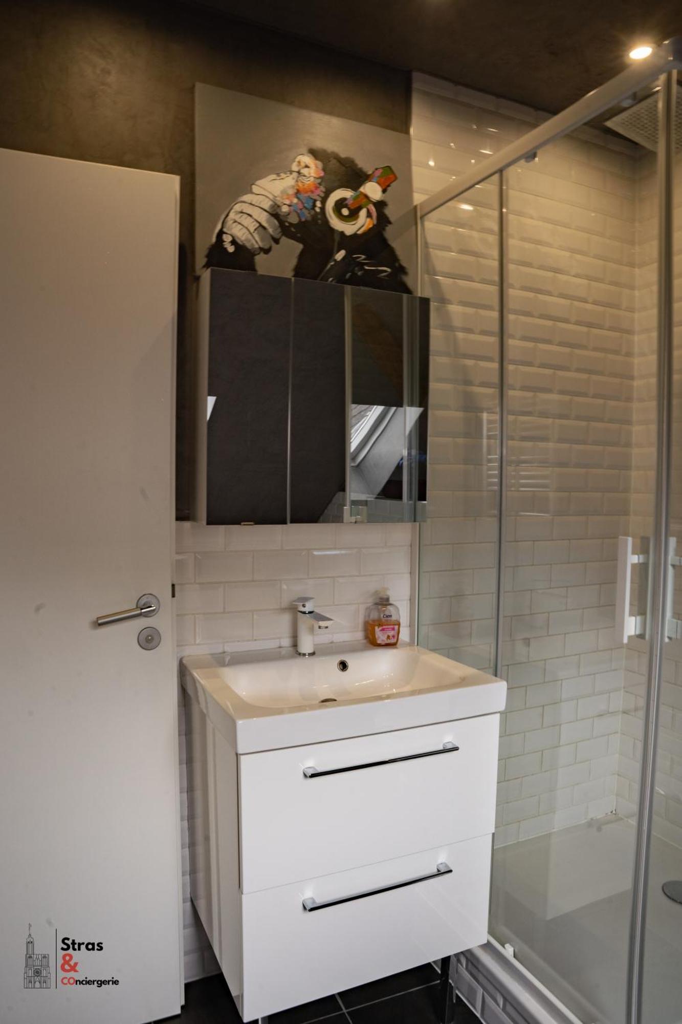Belles Combles Alsaciennes Au Centre De Strasbourg Apartment Екстериор снимка